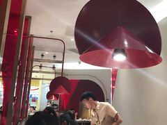 -南枝记