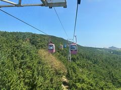 -摩天岭风景区