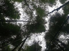 -鸡枕山
