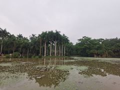 -中国科学院西双版纳热带植物园