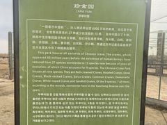 -盐城丹顶鹤湿地生态旅游区
