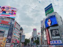 涩谷入口-涩谷区