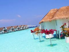 -中央格兰德岛温泉度假酒店 - 全包