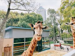 -荆州中山公园动物园