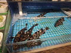 -韩记海鲜饺子旗舰店(红海新区店)