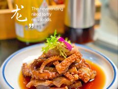 揉煮八爪鱼-金龙·打边炉(南京西路店)