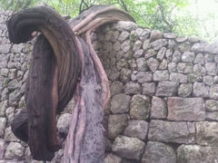android_upload_pic-杭州滨江宝龙城华美达酒店