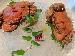公大闸蟹-蟹榭·本帮江浙菜·蟹宴(五角场合生汇商场店)