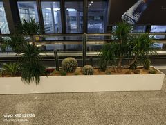 -郑州新郑国际机场-T2航站楼
