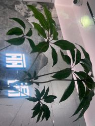 -LJOY丽锦造型·烫发染发