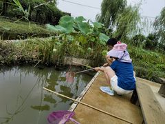 -同銮特种养殖场·龙虾垂钓