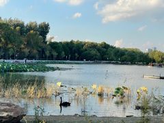 -长春市南湖公园