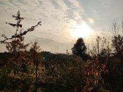 -三圣花乡旅游区