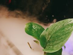 -三利音·玖弄小鲜(浦东嘉里城店)