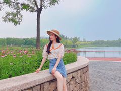 -东郊湿地公园