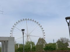-石家庄市植物园