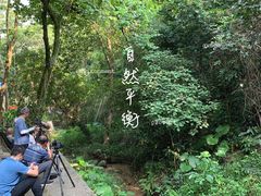 -火炉山森林公园