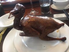 -光明刘冰乳鸽店(光明法政北路店)