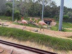 -沈阳森林动物园