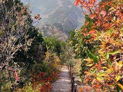 -北京十三陵国家森林公园蟒山景区