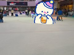 -TheRink大零溜冰场(IFS国金中心店)
