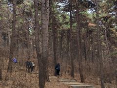 -沈阳辉山风景区