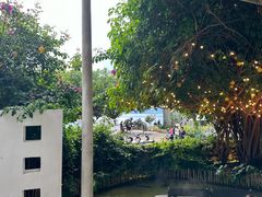 -大理老字号·舟渔的鱼野生菌海景餐厅(双廊店)