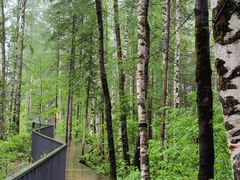 -峡谷浮石林景区