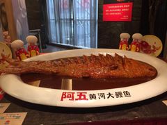-阿五黄河大鲤鱼(纬三路店)