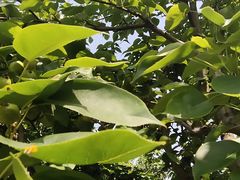 -长兴太湖图影湿地文化园