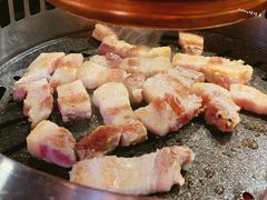 精品鲜五花-香猪坊韩国烤肉专属门店(魏公村店)