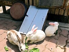 -太阳岛度假酒店