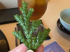 -家贺屋刺身寿司专门店