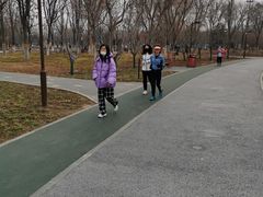 -回龙观体育文化公园