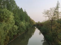 -上海长兴岛郊野公园