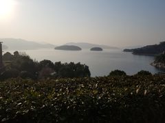 -逸廊大堂吧-下午茶·简餐-千岛湖自由洲际殿