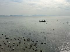 -深圳湾公园(南山区)