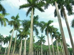 -南宁花花大世界景区