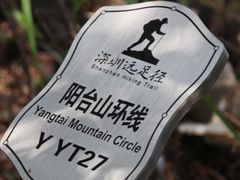 -阳台山森林公园