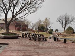 -唐岛湾公园