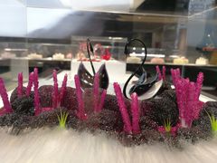 -BLACKSWAN黑天鹅(环球店)