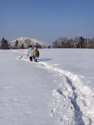 -大秃顶子山