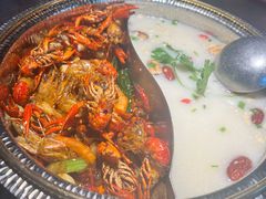 -0048鲜活香辣虾·火锅(铜陵路店)