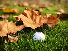 -东方双鹰高尔夫俱乐部-西北1门地上停车场