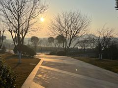 -羊山湖公园