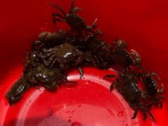 -东戴河风景区-止锚湾