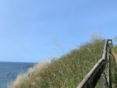 -怀希基岛