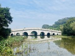 -水濂山森林公园