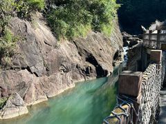 -广州白江湖森林公园