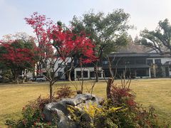 -杭州西湖柳莺里酒店